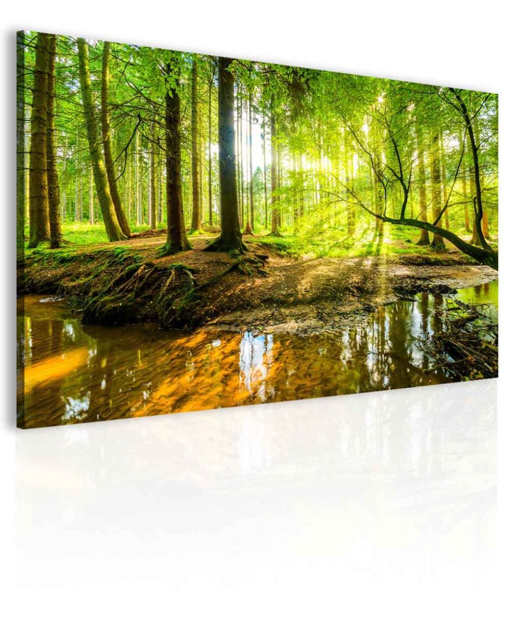 Obraz lesní úsvit Velikost (šířka x výška): 60x40 cm - S-obrazy.cz