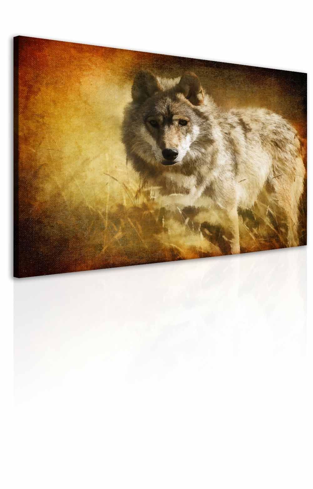 Obraz vlk Velikost (šířka x výška): 25x20 cm - S-obrazy.cz