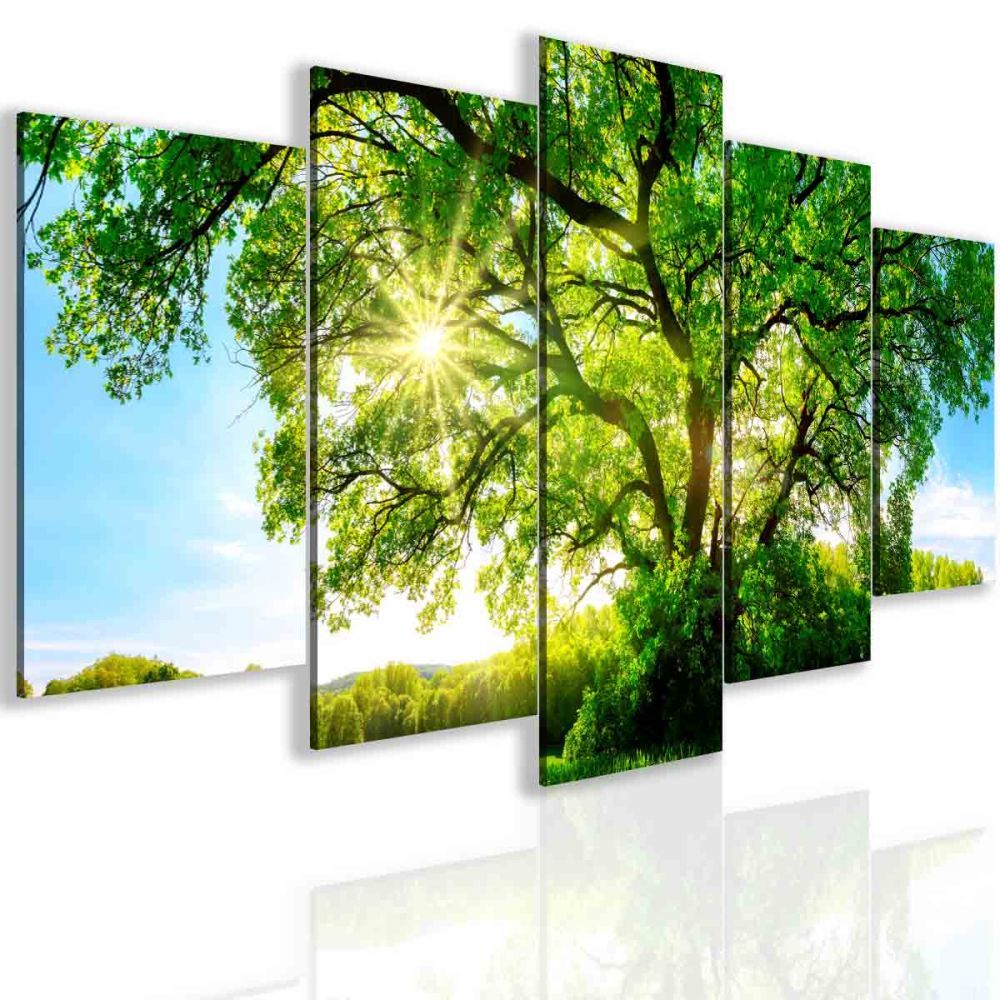 Vícedílný obraz strom Velikost (šířka x výška): 100x50 cm - S-obrazy.cz