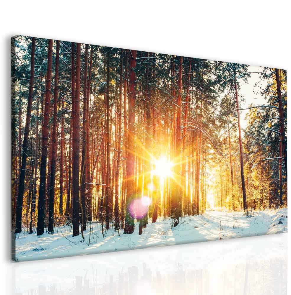 Obraz První sníh Velikost (šířka x výška): 60x40 cm - S-obrazy.cz