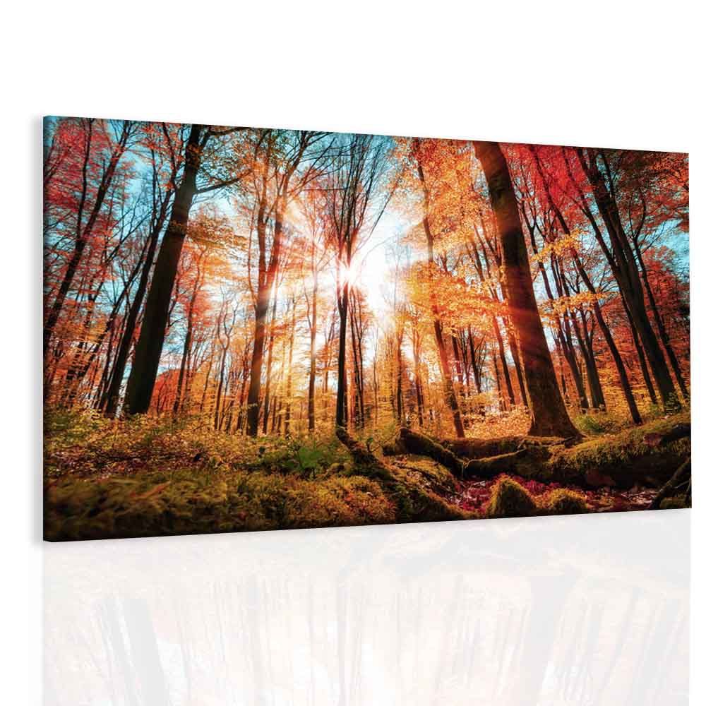 Obraz podzimní slunce Velikost (šířka x výška): 90x60 cm - S-obrazy.cz