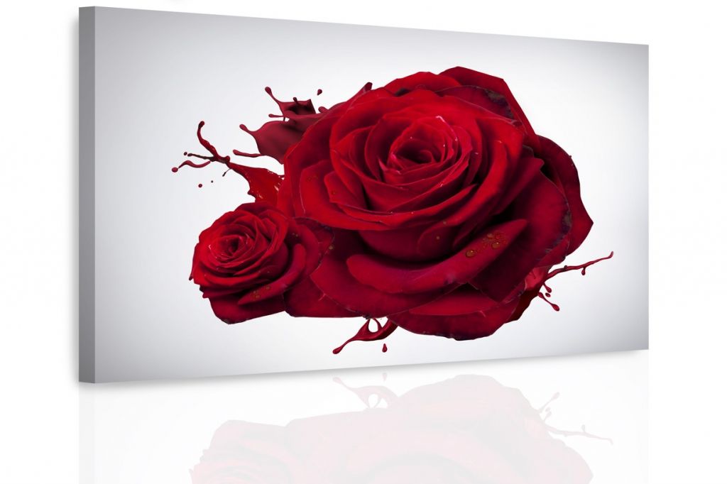 Obraz rudá růže Velikost (šířka x výška): 60x40 cm - S-obrazy.cz