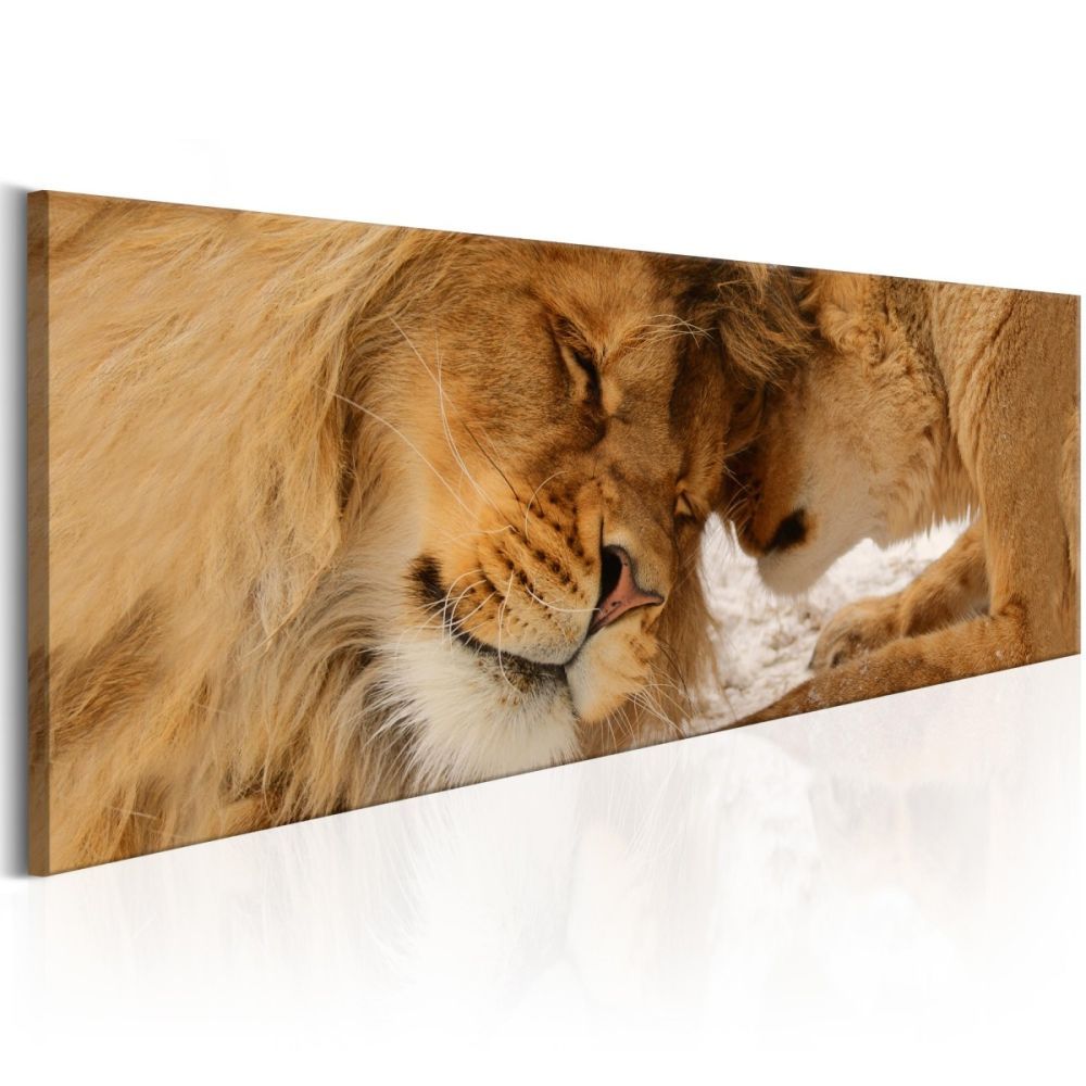 Obraz láska lvů + háčky a hřebíčky ZDARMA Velikost (šířka x výška): 90x30 cm - S-obrazy.cz