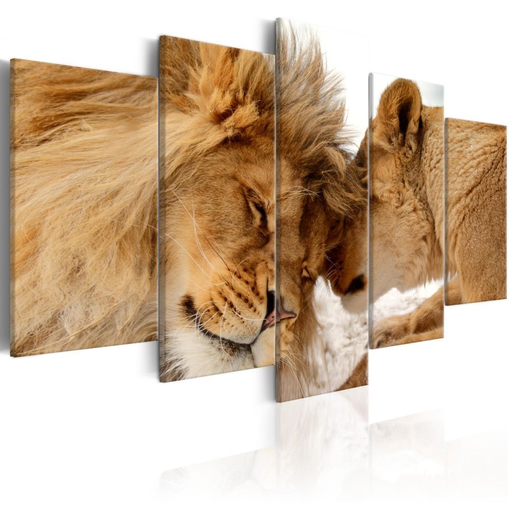 Obraz lví láska + háčky a hřebíčky ZDARMA Velikost (šířka x výška): 100x50 cm - S-obrazy.cz