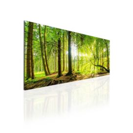Obraz lesní úsvit II Velikost (šířka x výška): 130x60 cm