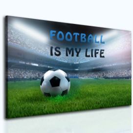 Obraz fotbal je můj život Velikost (šířka x výška): 120x80 cm