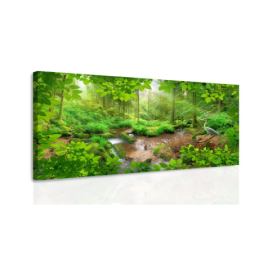 Obraz volavka v lese Velikost (šířka x výška): 100x50 cm