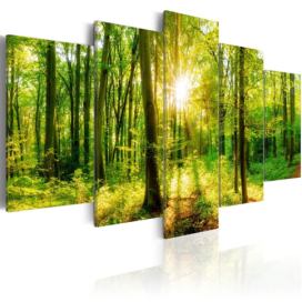 Pětidílný obraz kouzlo lesa + háčky a hřebíčky ZDARMA Velikost (šířka x výška): 100x50 cm S-obrazy.cz