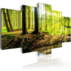 Vícedílný obraz lesní potok + háčky a hřebíčky ZDARMA Velikost (šířka x výška): 100x50 cm