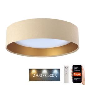  LED Stropní svítidlo SMART GALAXY LED/24W/230V Wi-Fi Tuya béžová/zlatá + DO 