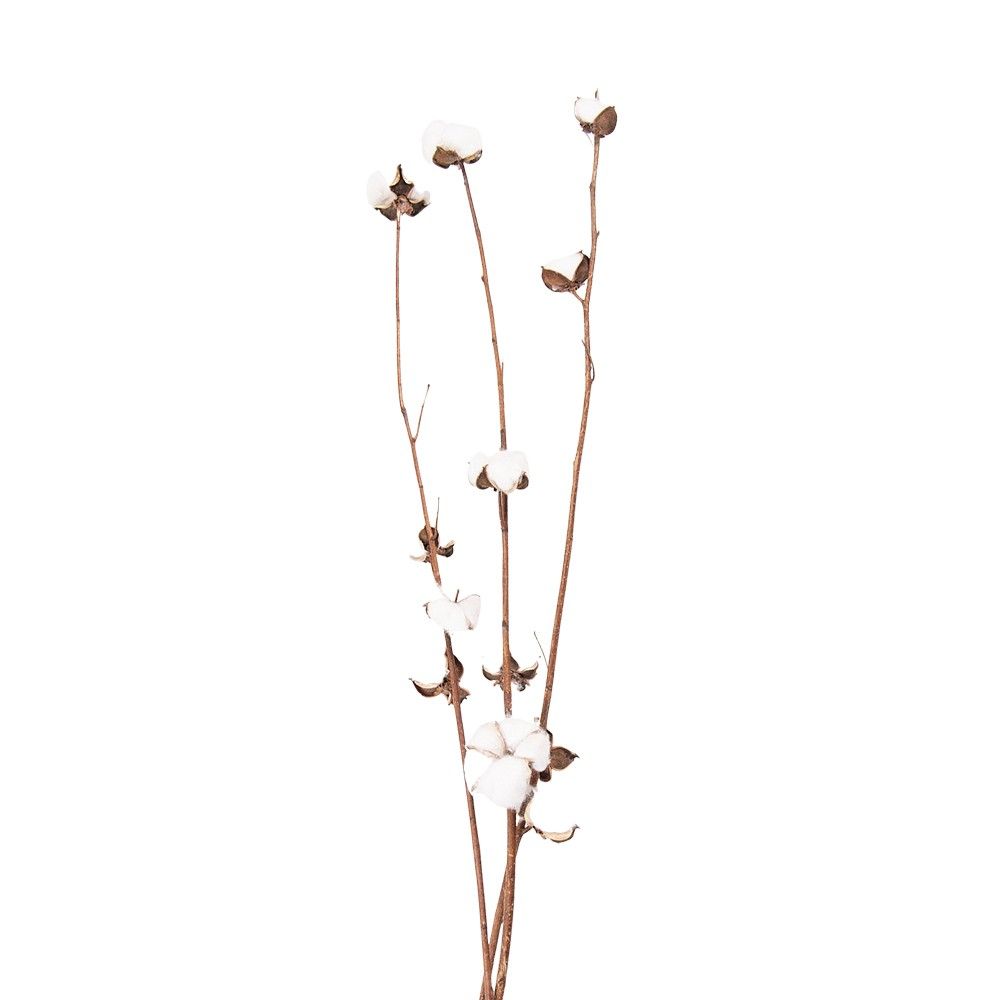 Bílo hnědá dekorační květina bavlník - 80 cm  Clayre & Eef - LaHome - vintage dekorace