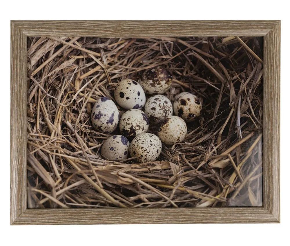 Podnos na nohy s křepelčími vajíčky v hnízdě Egg - 43*33*7cm Mars & More - LaHome - vintage dekorace