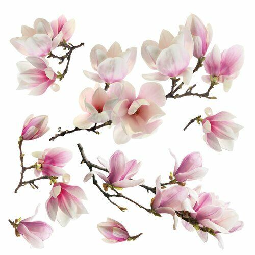Samolepicí dekorace Magnolia blossom, 30 x 30 cm - 4home.cz