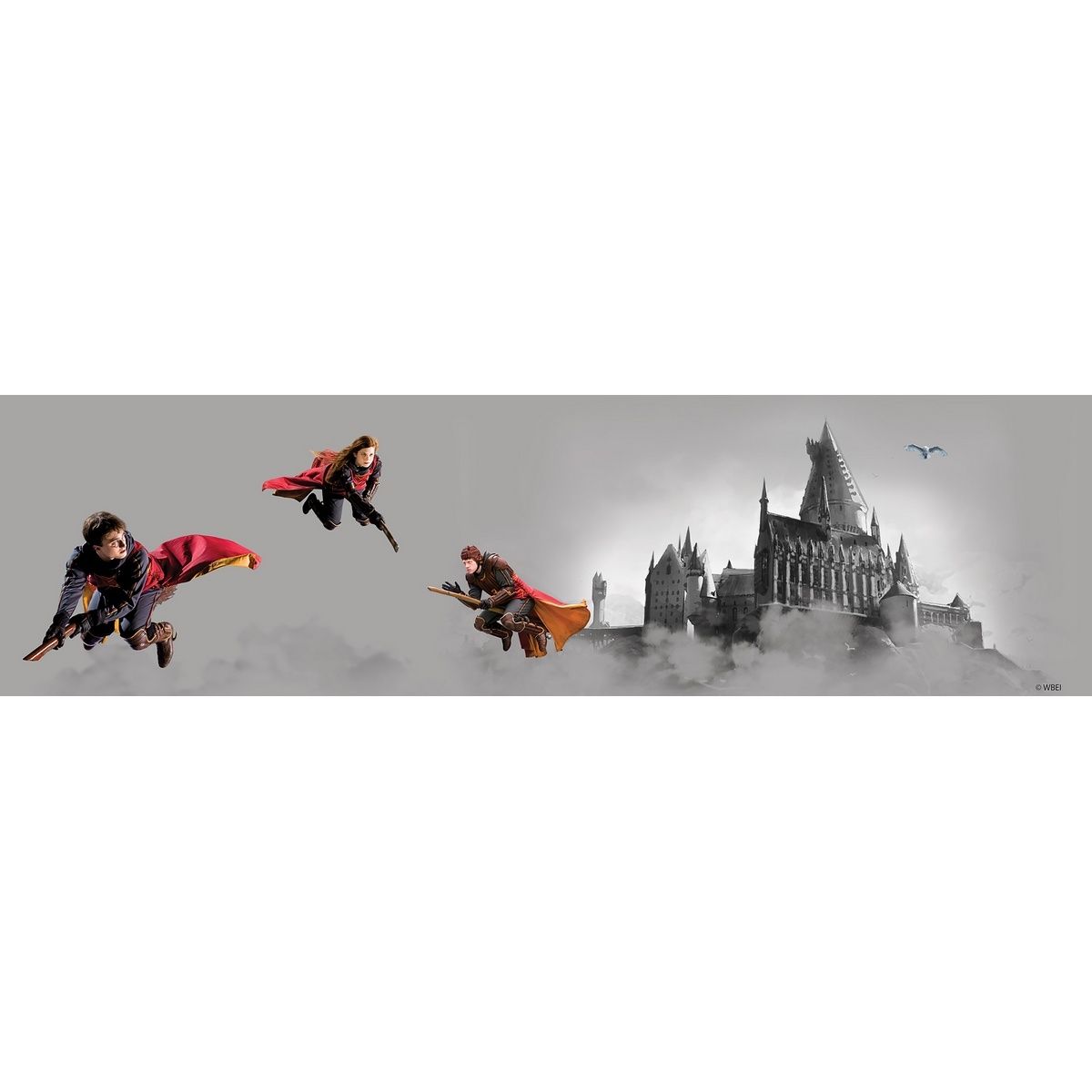 Samolepicí bordura Harry Potter Famfrpál, 500 x 9,7 cm - 4home.cz