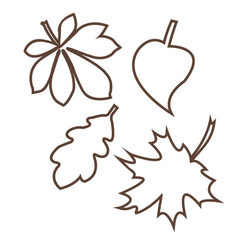 Pieris design Kontury listů - podzimní samolepky na okno bílá - Pieris design