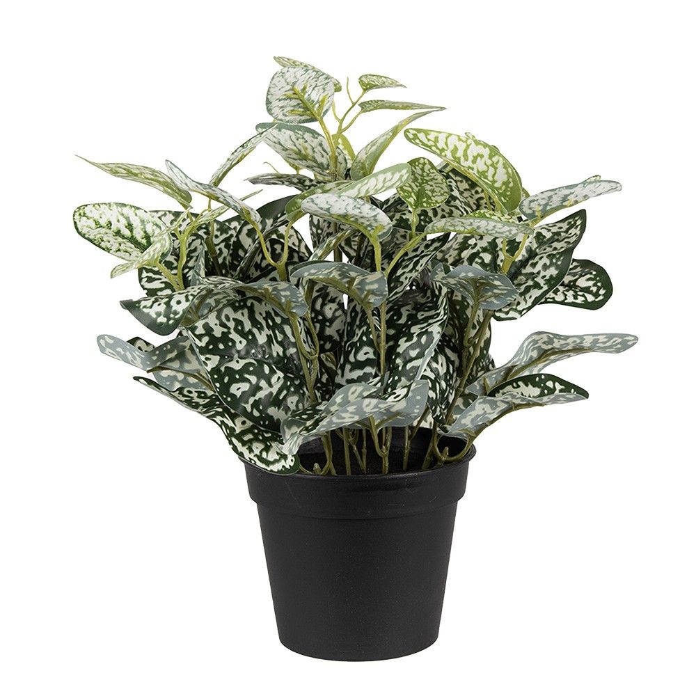 Dekorační zelená umělá rostlina - 27*27*34 cm Clayre & Eef - LaHome - vintage dekorace