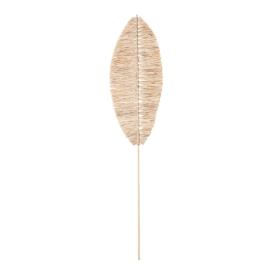 Sušená rostlina (výška 92 cm) Emia – Bloomingville