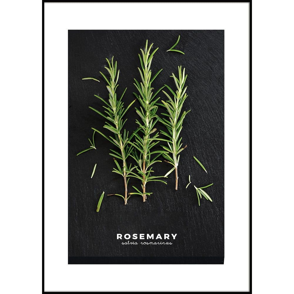 Plakát v rámu 50x70 cm Rosemary – Styler - Bonami.cz