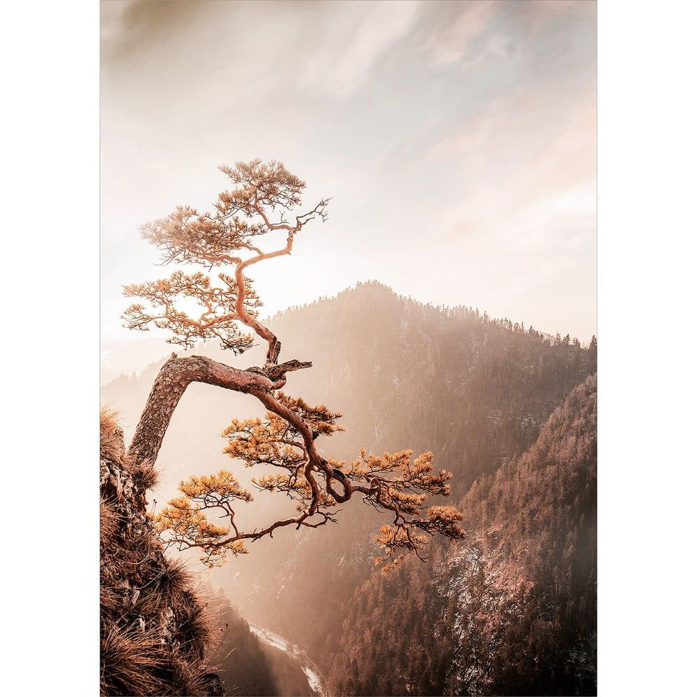 Skleněný obraz 50x70 cm Brown Tree – Styler - Bonami.cz