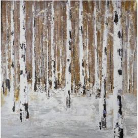 Ručně malovaný obraz 70x70 cm Birch Wood – Wallity Bonami.cz