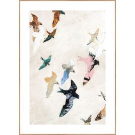 Obraz 30x40 cm Abstract Birds – Malerifabrikken Bonami.cz