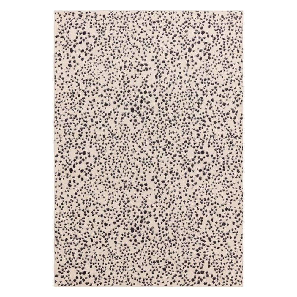 Černo-bílý koberec 200x290 cm Muse – Asiatic Carpets - Bonami.cz