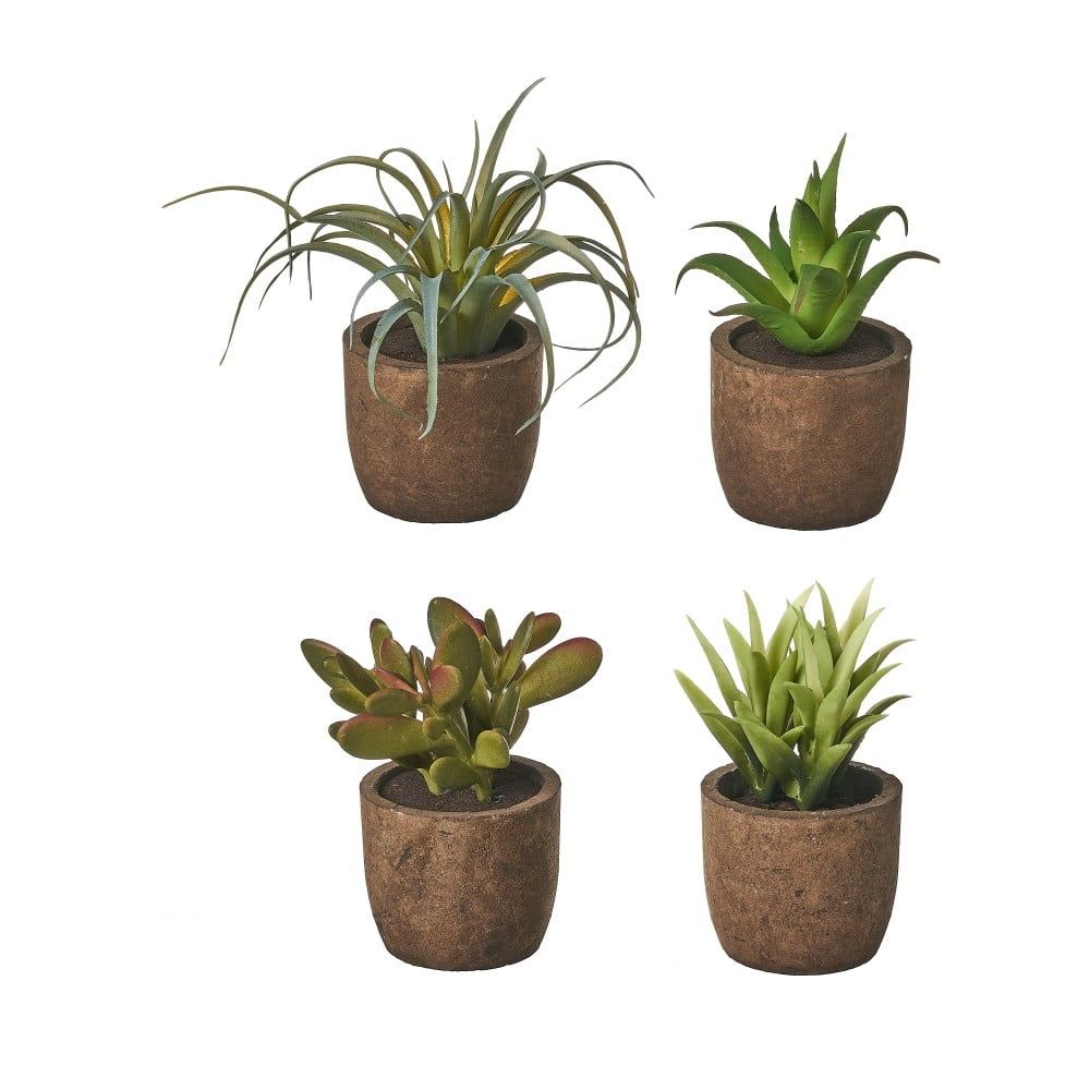 Umělé rostliny v sadě 4 ks (výška 10 cm) Cactus – Casa Selección - Bonami.cz