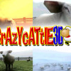 Experience the Fun of Crazy Cattle 3D