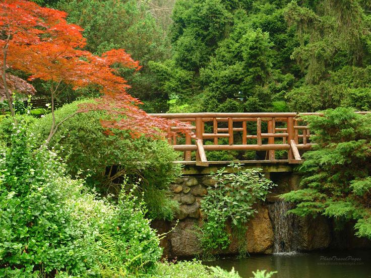 Most na zahradě - 