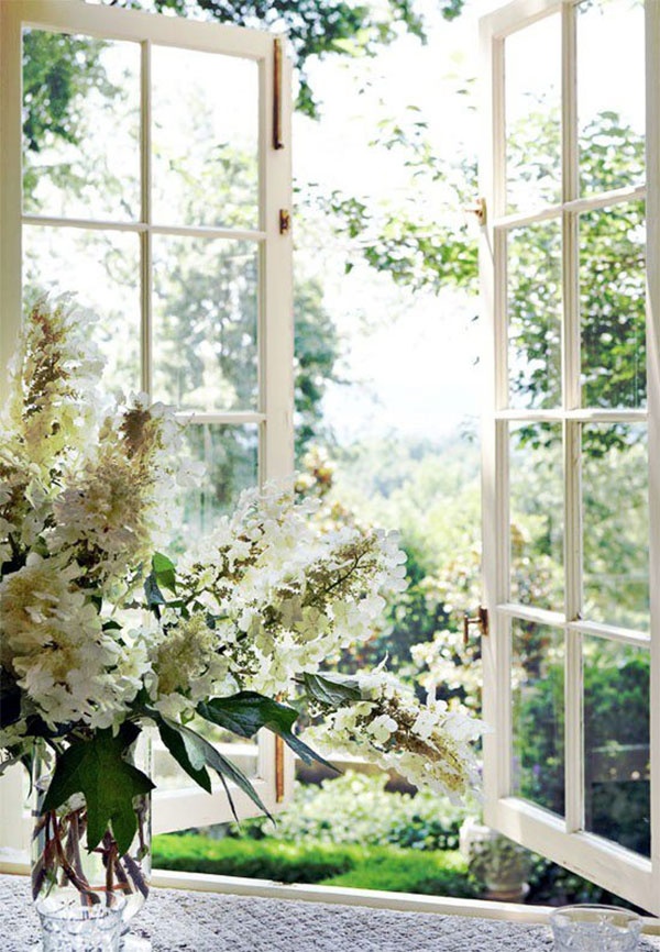 Okno do zahrady - 