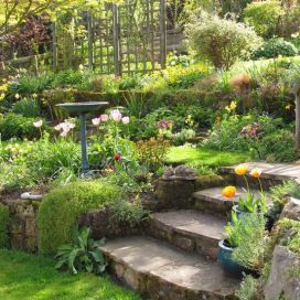Návrh zahrady - zahradní architekt