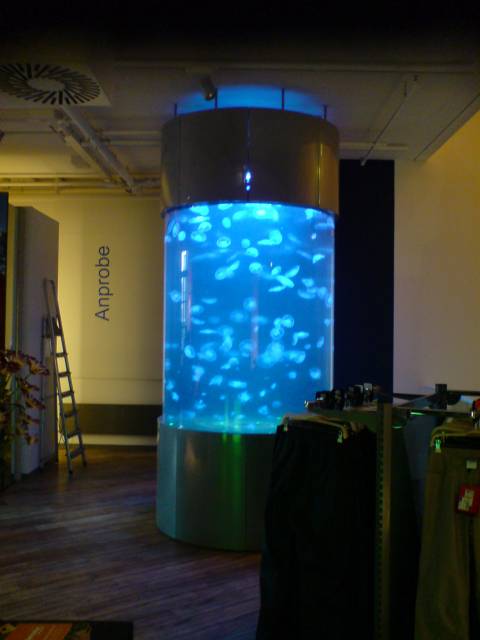 3000 litrové akvárium s medúzami - Designjellyfish