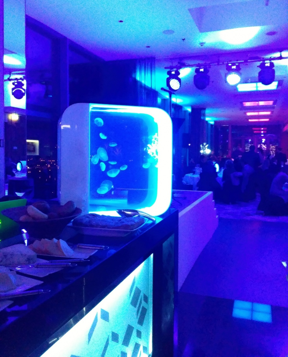 Akvárium s medúzami Cloud 9 sky bar - Designjellyfish