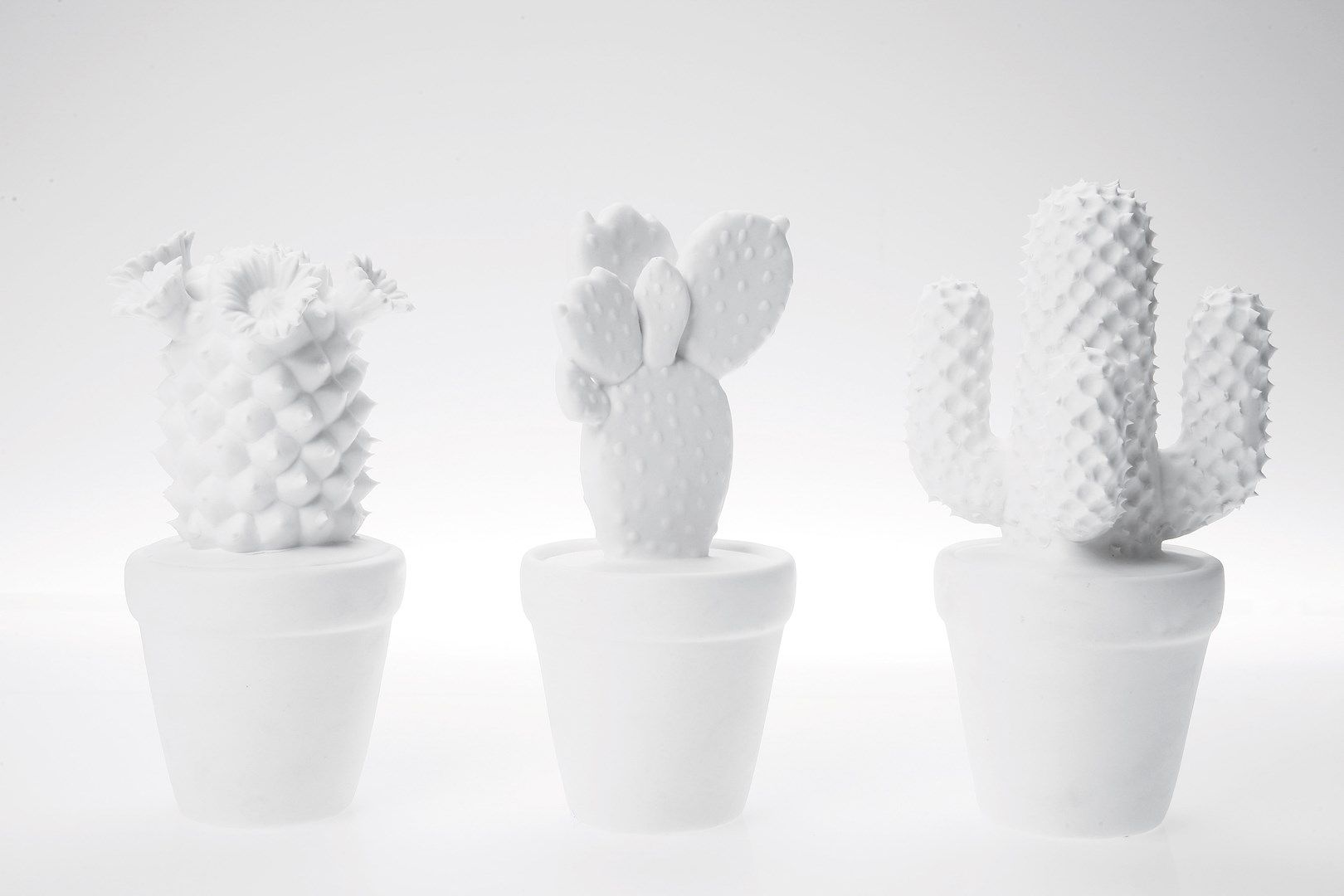 Dekorativní předmět Cactus White Assorted - KARE