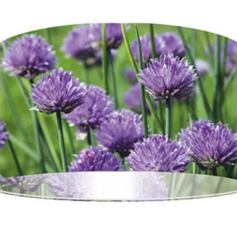 Svítidlo Purple Flowers závěsné - Homedesign-shop.com