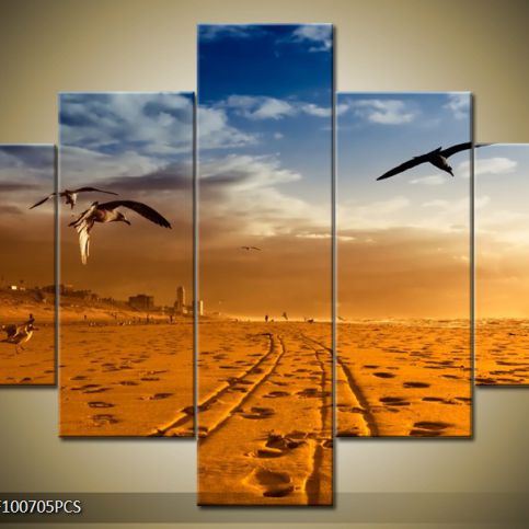 Vícedílný obraz Ptáci v poušti 100x70 cm - LEDobrazy.cz