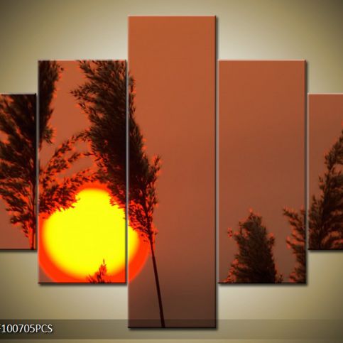 Vícedílný obraz Slunce mezi trávami 100x70 cm - LEDobrazy.cz
