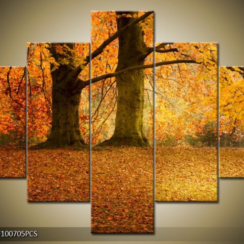 Vícedílný obraz Stromy na podzim 100x70 cm - LEDobrazy.cz