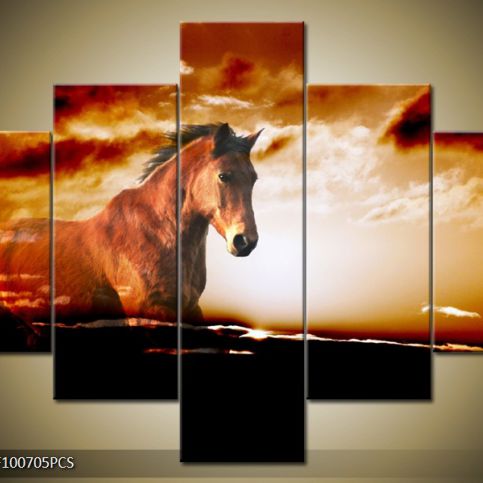 Vícedílný obraz Vzpomínka na koně 100x70 cm - LEDobrazy.cz