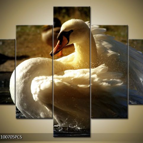 Vícedílný obraz Bílá labuť v řece 100x70 cm - LEDobrazy.cz