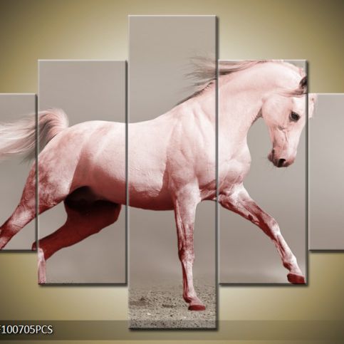 Vícedílný obraz Bílý kůň v běhu 100x70 cm - LEDobrazy.cz