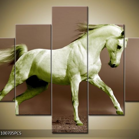 Vícedílný obraz Bílý kůň v poskoku 100x70 cm - LEDobrazy.cz