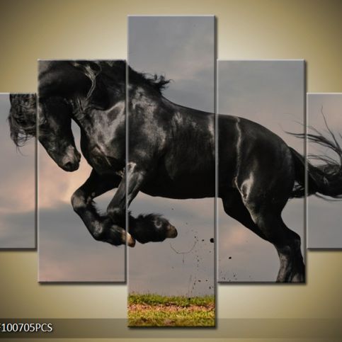 Vícedílný obraz Černý kůň ve skoku na louce 100x70 cm - LEDobrazy.cz