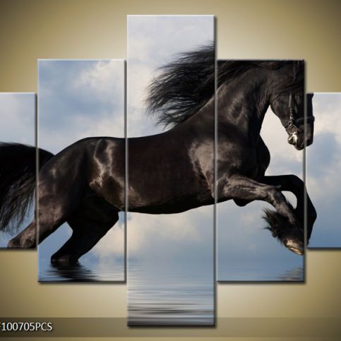 Vícedílný obraz Černý kůň ve vodě při skoku 100x70 cm - LEDobrazy.cz