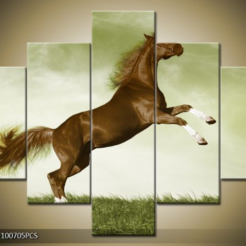 Vícedílný obraz Hnědý kůň na trávě 100x70 cm - LEDobrazy.cz