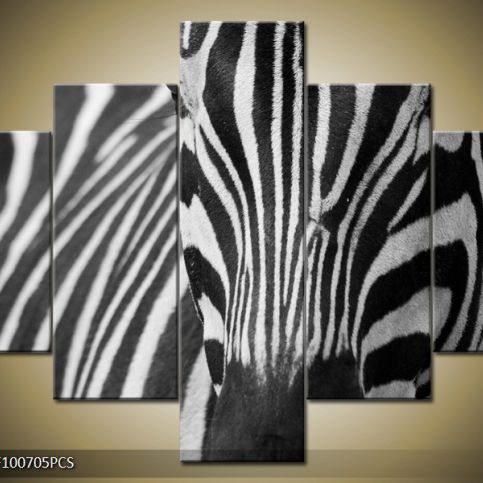 Vícedílný obraz Zebra zblízka 100x70 cm - LEDobrazy.cz