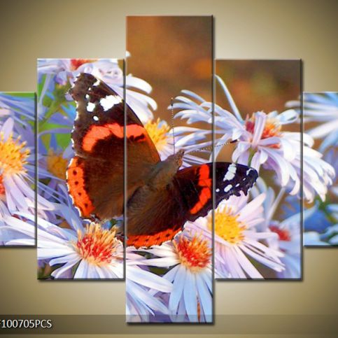 Vícedílný obraz Motýl na květině 100x70 cm - LEDobrazy.cz