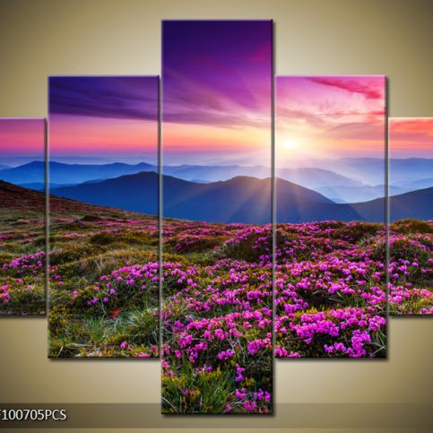 Vícedílný obraz Rozkvetlá horská louka 100x70 cm - LEDobrazy.cz