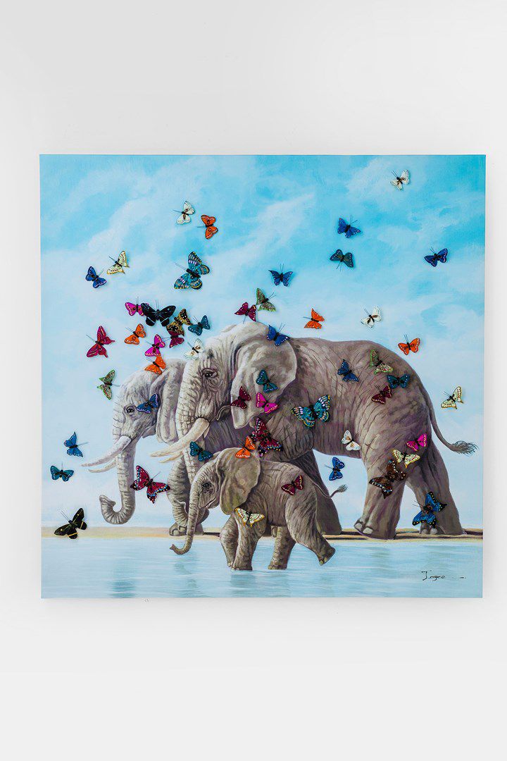 Obraz na plátně Elefants with Butterflies 120x120cm - KARE