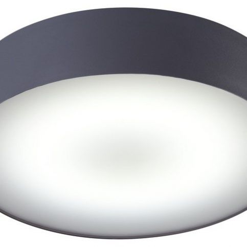 LED Koupelnové stropní svítidlo ARENA GRAPHITE 10H6727 + poštovné zdarma - Rozsvitsi.cz - svítidla